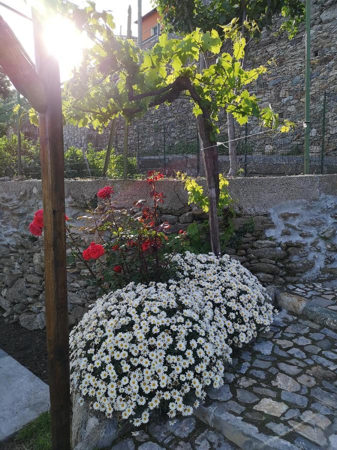 B&B Ca' Du Brigidin Tovo San Giacomo ภายนอก รูปภาพ