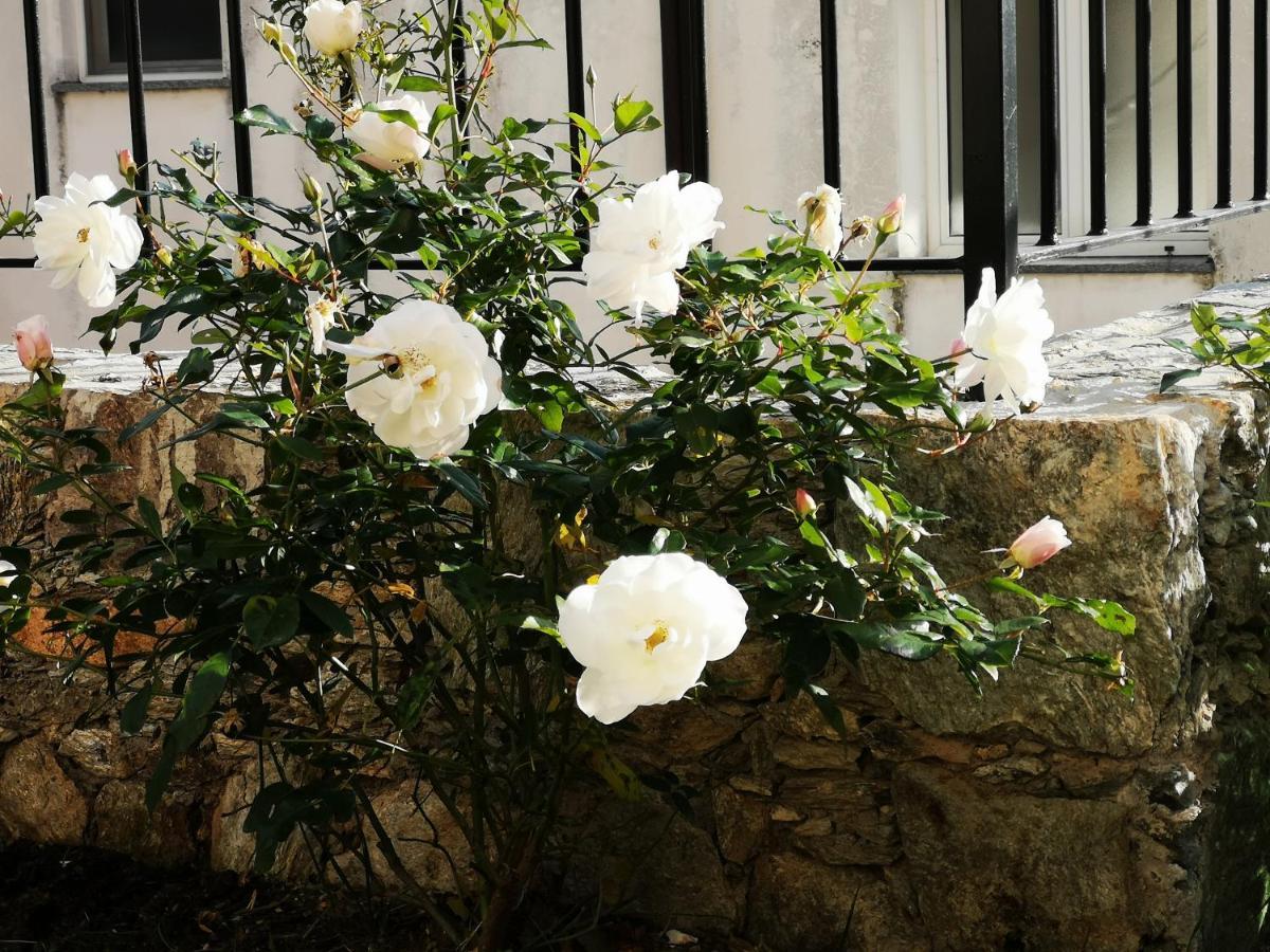 B&B Ca' Du Brigidin Tovo San Giacomo ภายนอก รูปภาพ