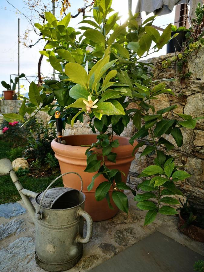 B&B Ca' Du Brigidin Tovo San Giacomo ภายนอก รูปภาพ