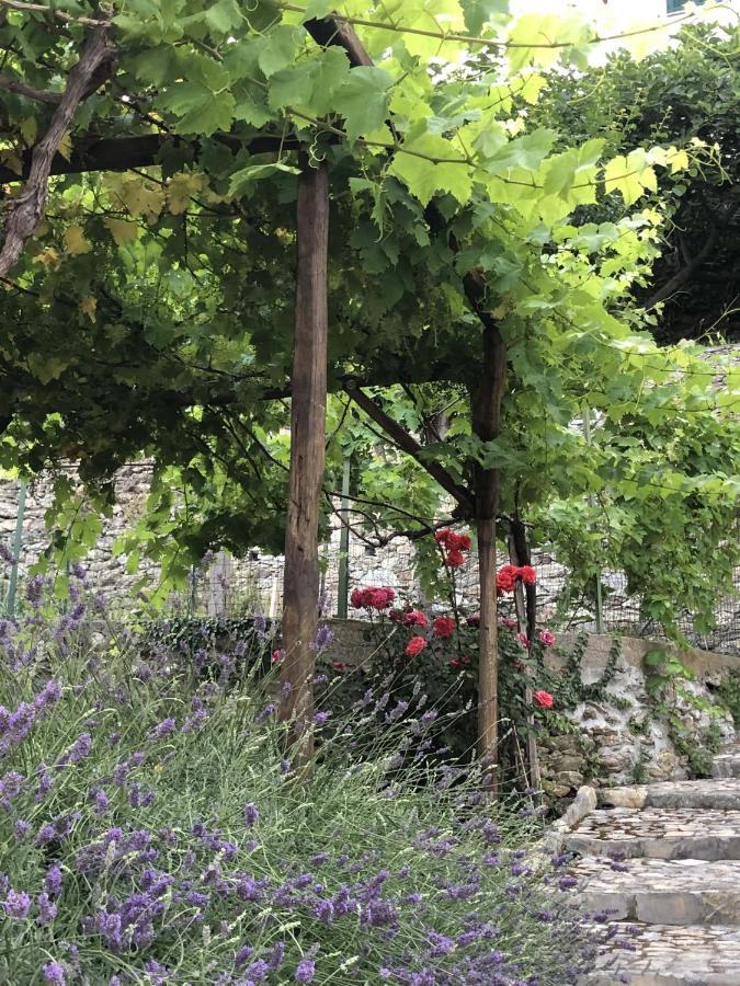 B&B Ca' Du Brigidin Tovo San Giacomo ภายนอก รูปภาพ
